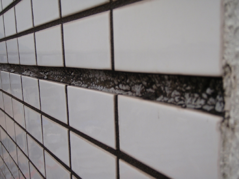 タイル面の打継目地シーリングの劣化。材料の痩せ方が顕著で、雨水の滞留によるコケの繁茂も見られる。付近タイルの浮きが確認された。