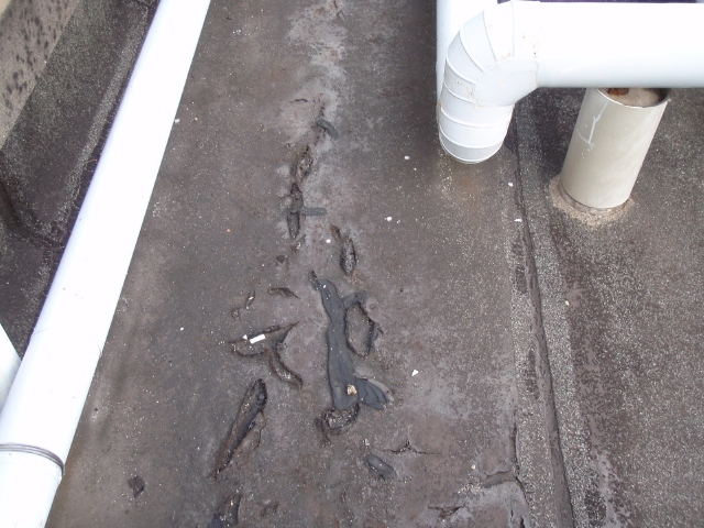 アスファルト露出防水の表層が劣化している。