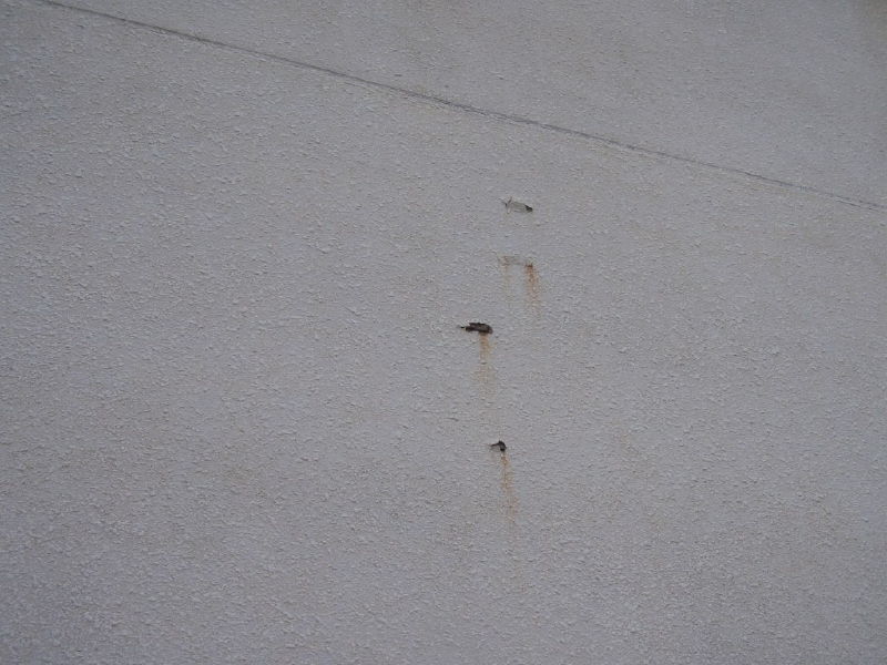 爆裂。錆汁が確認される。部分的に表面コンクリートが剥落している。