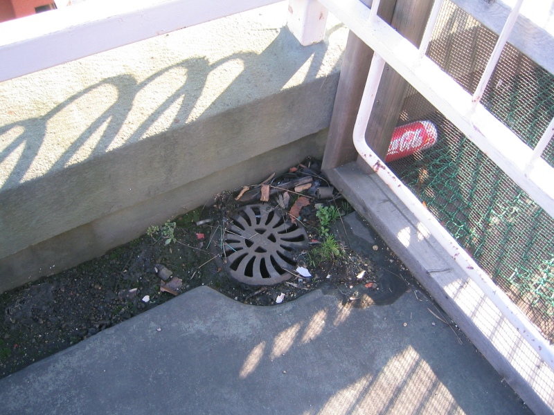 バルコニーの排水ドレイン付近に溜まったごみ。