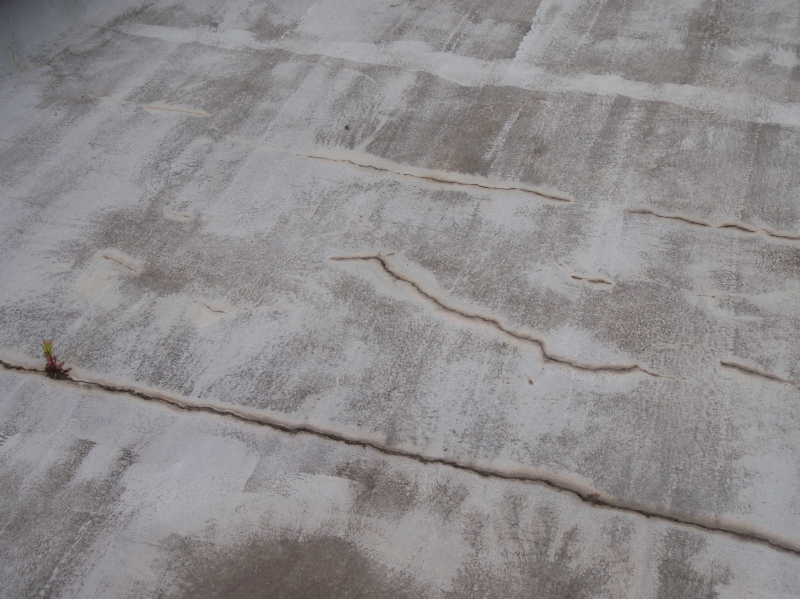 アスファルト防水の上に、セメント系塗膜防水を施工した数年後の様子。アスファルト防水層の継ぎ目と思われる箇所などにひび割れが生じ、劣化が始まっている。