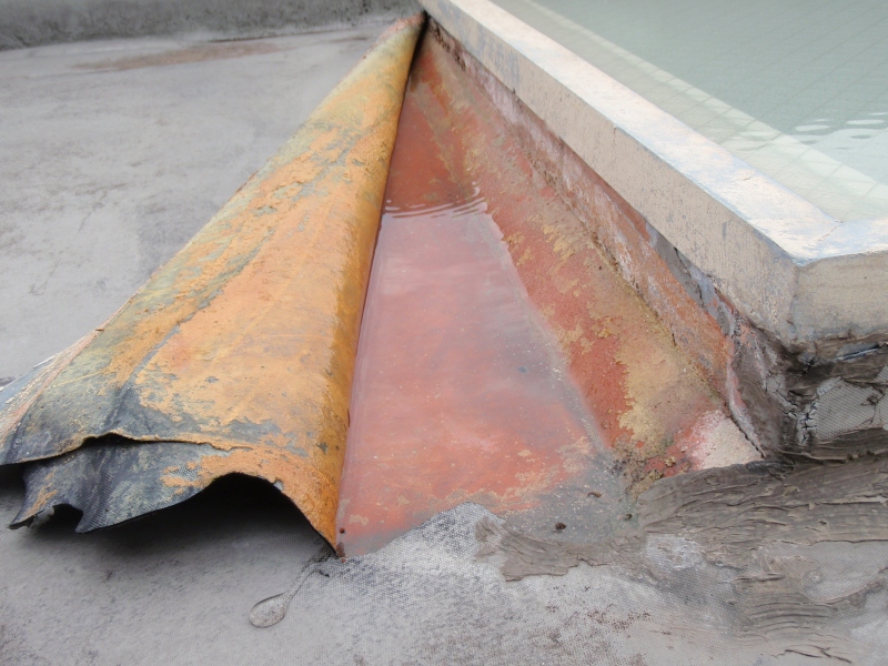 トップライト付近のゴムシート防水がめくれて、雨水が入り込んでいる。