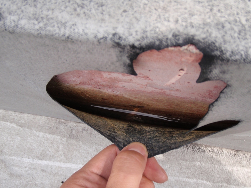 ゴムシート防水の立上り部分が破れていたので、のぞいてみた。雨水となにやら丸っぽい異物も入っている。