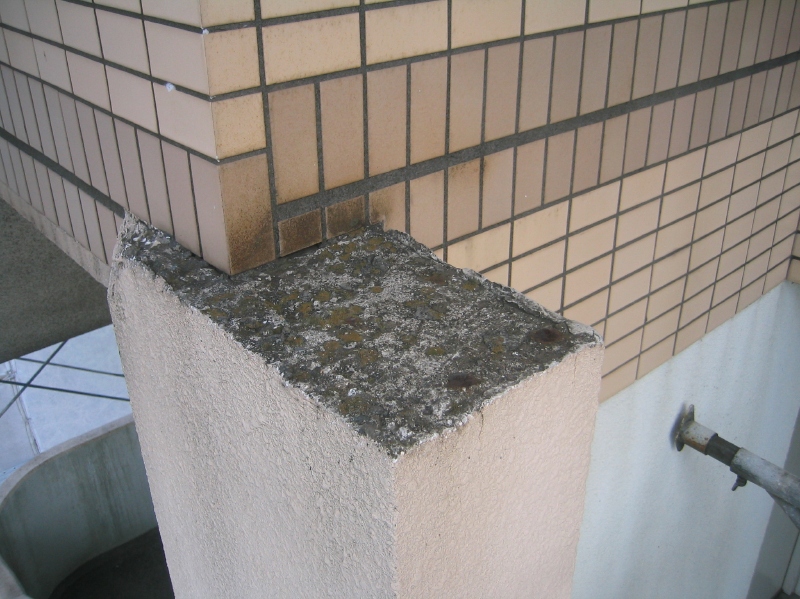 飾り柱の上部は、モルタルではなくコンクリートのままだった。