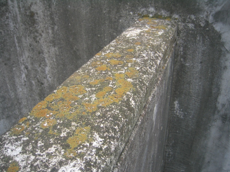 塔屋屋根にある壁の天端。上部をしっかり防水処理しないと、壁面に雨水が浸入する。
