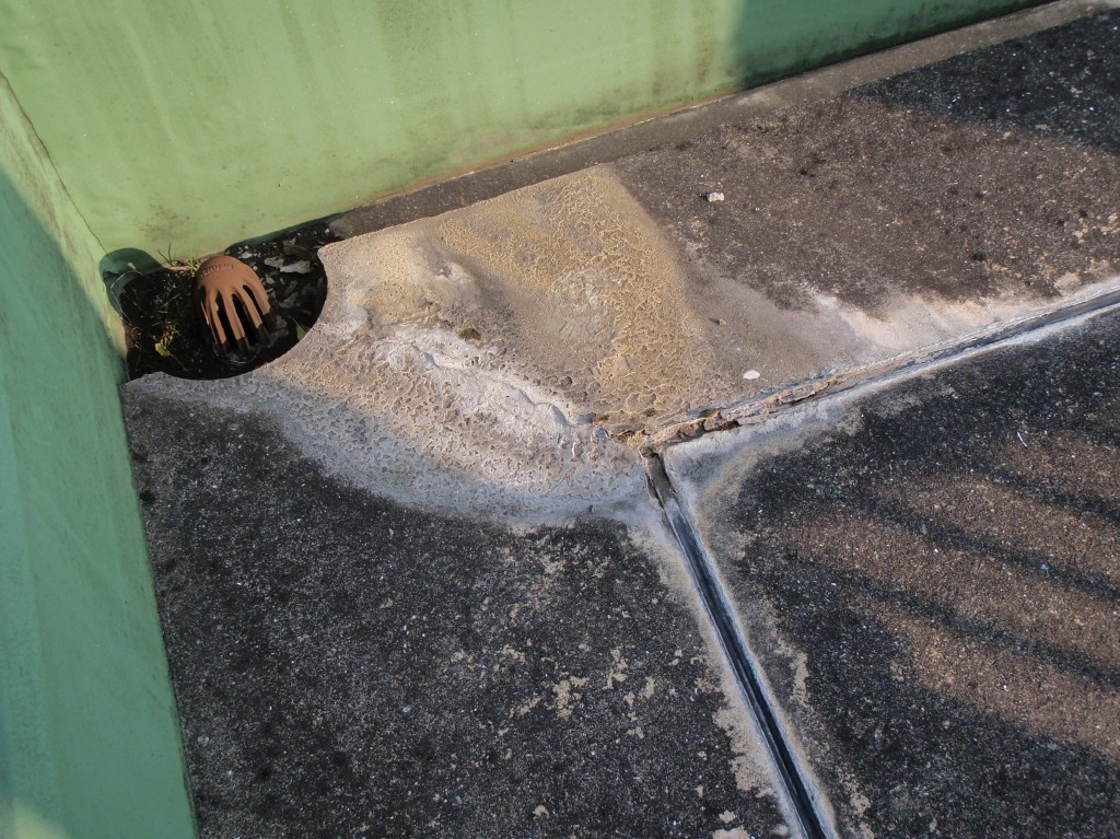 押えコンクリートの伸縮目地からエフロレッセンス（白華現象）が起こっている。コンクリート内部に浸水していることが分かる。