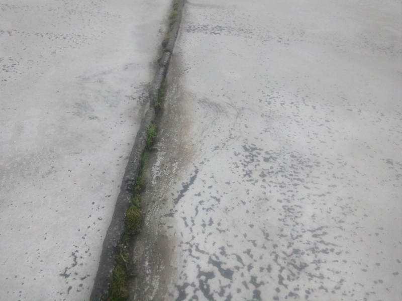 押えコンクリートの上にウレタン塗膜防水を施したあとで、伸縮目地からコケが生えてきた。伸縮目地に設置されていたエラスタイトという材料を撤去せずに、そのまま新規の防水を施してしまった。