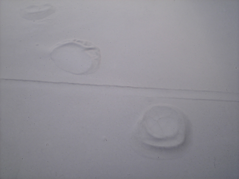 ルーフバルコニー、押えコンクリートの上にウレタン塗膜防水密着工法を施した後に、ふくれが生じている。