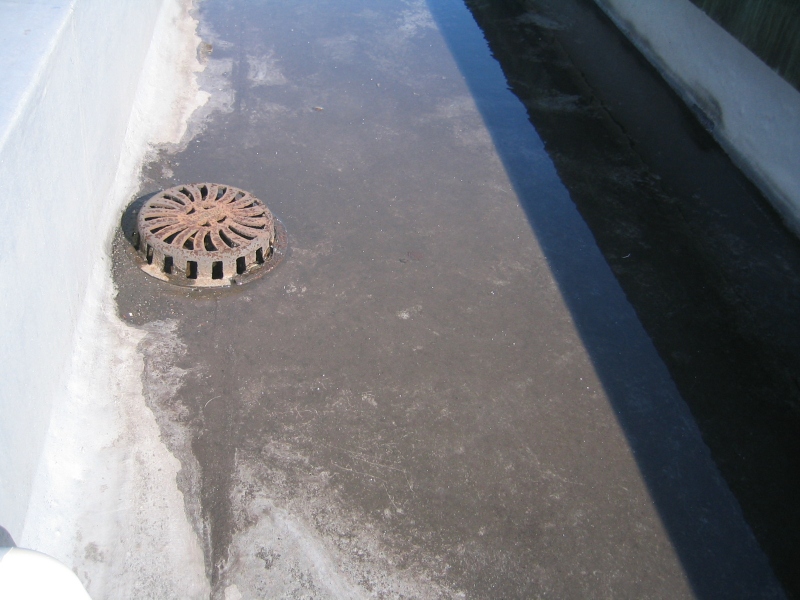 排水ドレイン付近の水たまり。ドレインの高さが原因か？