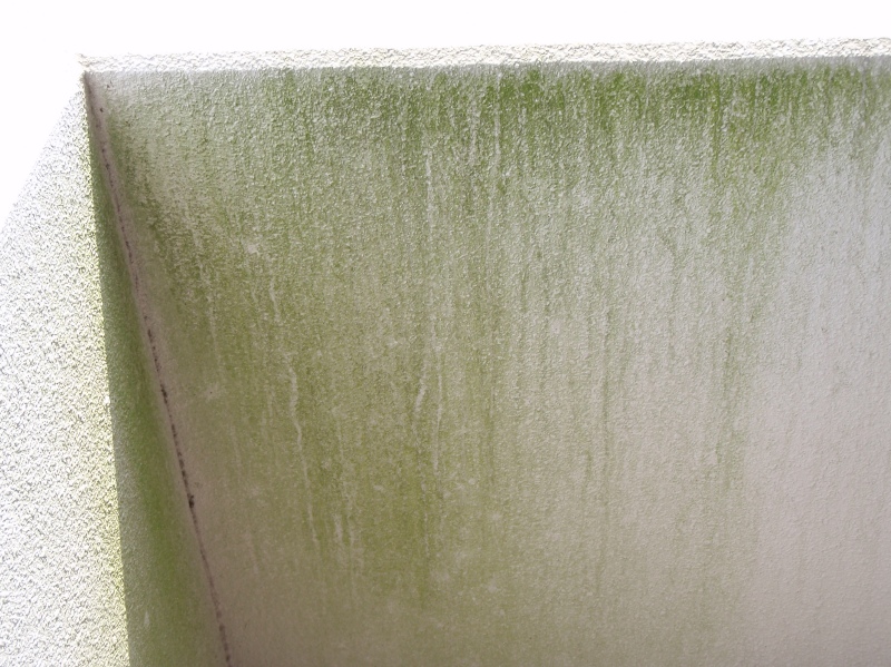 階段室腰壁に発生した雨垂れ