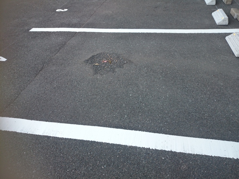 駐車場清掃後。アスファルト表面が脆弱で取れているものもあるが、それ以外のゴミもかなり溜まっていたことが分かる。