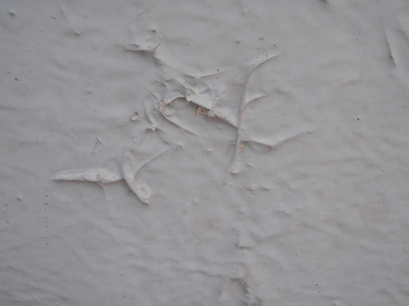 ウレタン塗膜防水施工時に、十分な清掃を行わなかった、もしくは刷毛塗りの際に抜けた毛をそのまま塗り込んだものと思われる。いずれにしても、これからずっと住まれていく居住者の気持ちを考えられればならないものである。