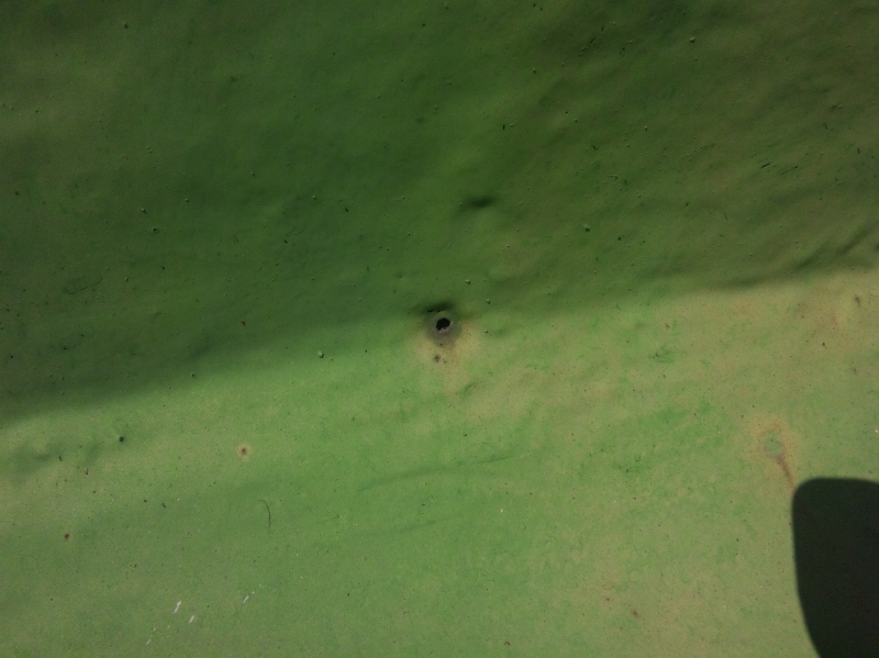 立上りコンクリートのピンホールなどの劣化に気付かず、ウレタン塗膜防水を施工した様子。樹脂モルタルにて下地調整をしっかり行えば防ぐ事が出来たと思われる。しかし、トップコートを塗布する前に気付いてもいいものだが・・・