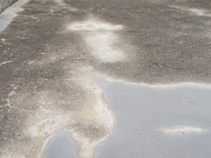 屋上の一部に塗膜防水が施工されていたらしいが、見る影もない。新築から十数年しか経っていない物件で、いくらトップコートの塗替えが行われていないとはいえ、ここまでなるだろうか。